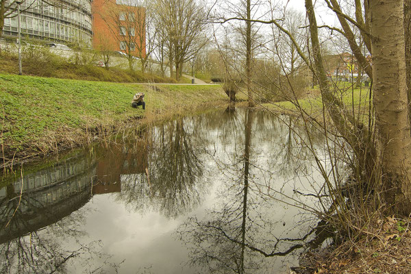 Maren Hohn beim Fotografieren im Moorbekpark. © Hartmut Domröse