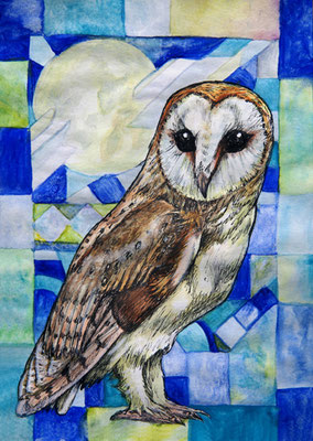 Barn Owl Moon