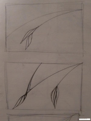 Unopened buds sketch