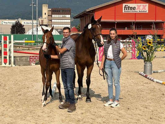 Emmely an der Fohlenschau 2025 in Balsthal
