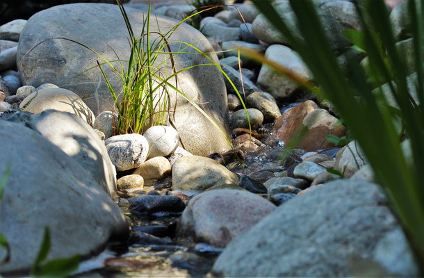 plätscherndes Wasser lässt die Seele baumeln 