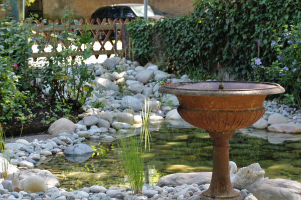 natürlicher Gartenteich als Oase im Garten 