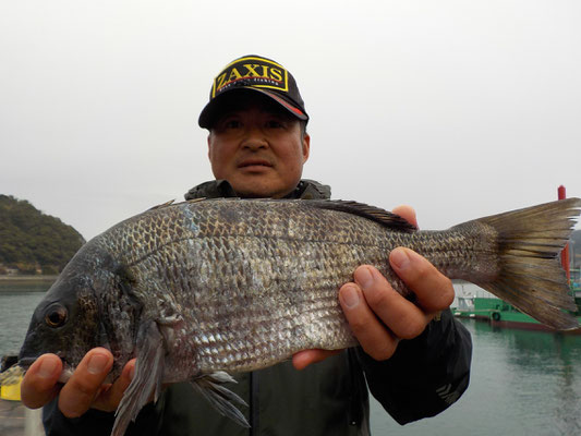 ３月５日　磯釣りで長田さん　良型チヌ４６㎝を頭に６匹