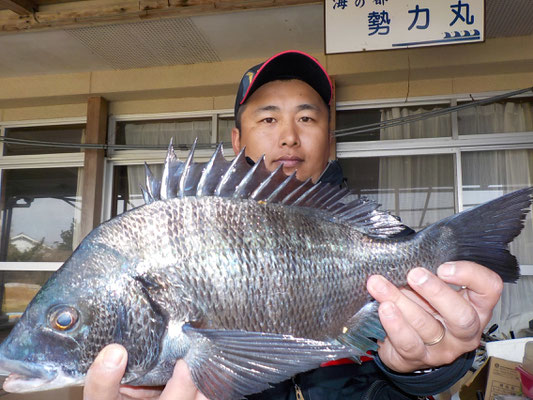 ３月１日　磯釣りで川上さん　チヌ４１㎝