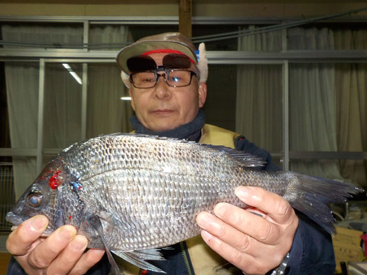 ３月３日　磯釣りで坂井さん　チヌ１匹