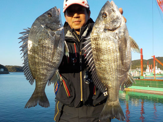 ３月４日　磯釣りで中原さん　チヌ４０㎝前後を２匹