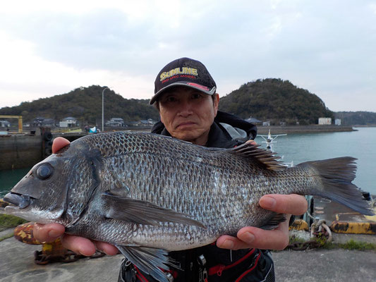 ４月１日　磯釣りで小川さん　チヌ４１．５㎝