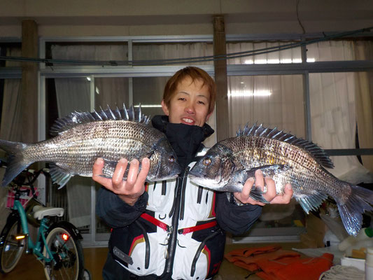 ３月８日　磯釣りで柴田さん　チヌ４４．５㎝・４４㎝　