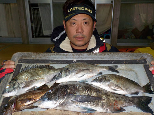 ３月４日　磯釣りで吉山さん　チヌ４３㎝を頭に４匹　メバル１匹