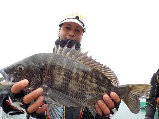 ３月５日　磯釣りで水田さん　チヌ４３．３㎝