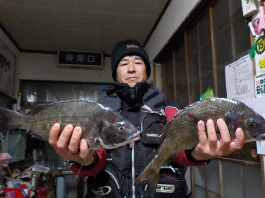 ３月５日　磯釣りで川島さん　チヌ４３㎝を頭に３匹