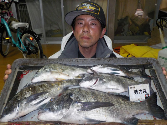 ３月５日　磯釣りで宮地さん　良型チヌ４６㎝を頭に５匹