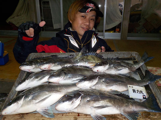 ３月１日　磯釣りで浦崎さん　良型チヌ４５㎝を頭に９匹