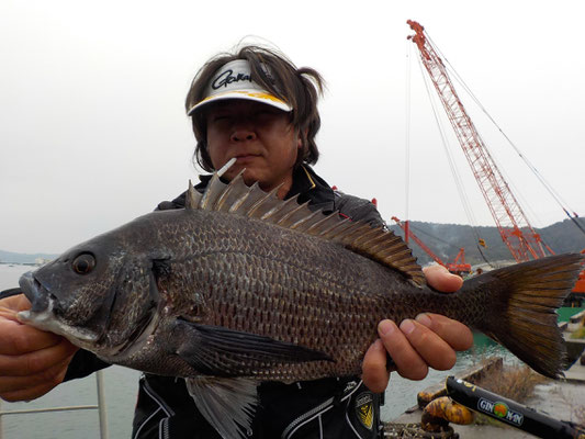 ３月５日　磯釣りで湯上さん　良型チヌ４６㎝を頭に２匹