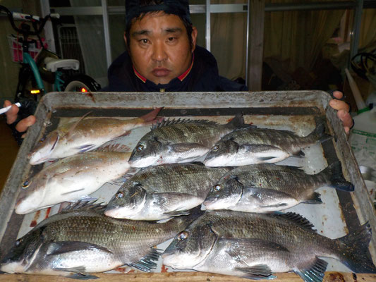 ３月６日　磯釣りで渡辺さん　チヌ、メイタ７匹　タイ２匹