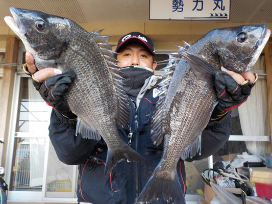 ３月６日　磯釣りで石本さん　良型チヌ４６㎝・４３㎝