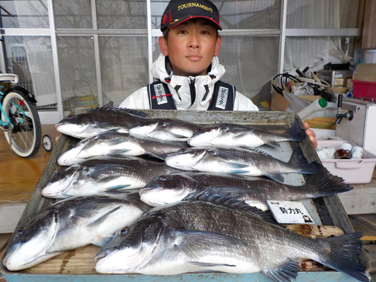 ３月７日　磯釣りで渡辺さん　良型チヌ４８㎝を頭に９匹