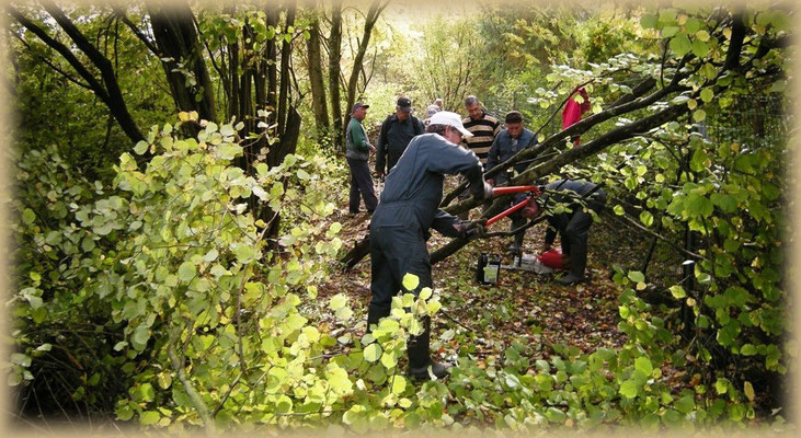 Débroussaillage d'un sentier