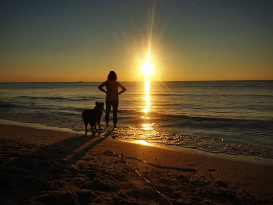 Mit Hund am Meer