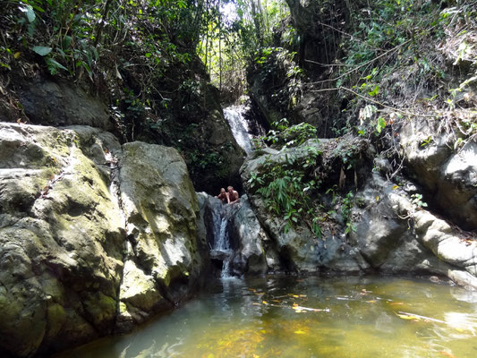 Baden im Natur- Swimmingpool