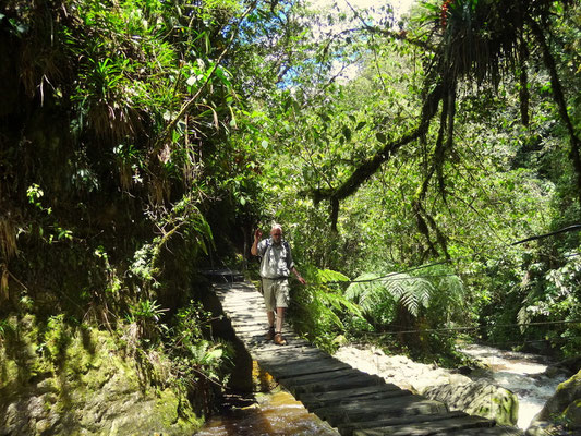 eine der 7 Brücken bis zur Finca Acaime - foto by chapoleratours