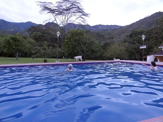 Pool mit großem Garten im Hotel El Refugio Tierradentro - San Andres de Pisimbala