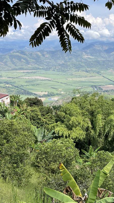 Panoramablick auf die östliche Anden-Kordillere