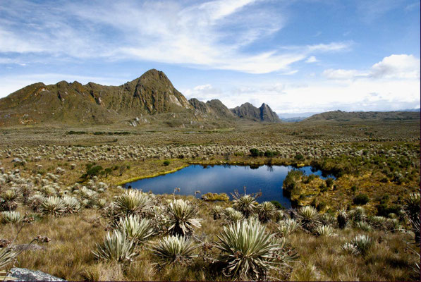 Im Páramo-Hochland