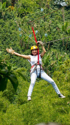 Zipline/Canopy (optional)