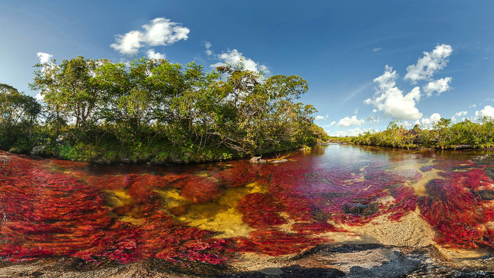 Caño Cristales - La Macarena/Llanos