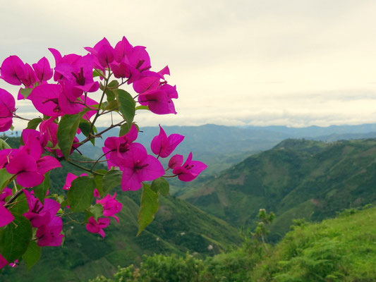 Blick in die Berge um San Agustin