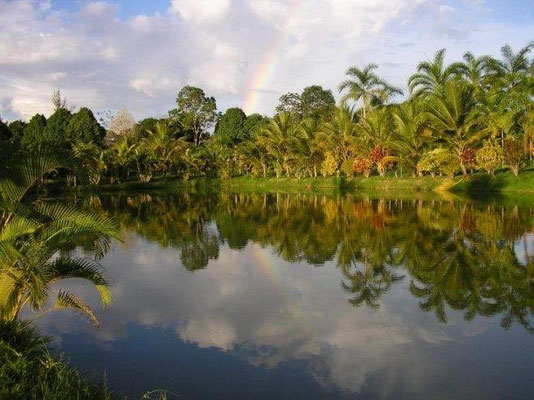 Ein Seitenarm des Rio Amazonas
