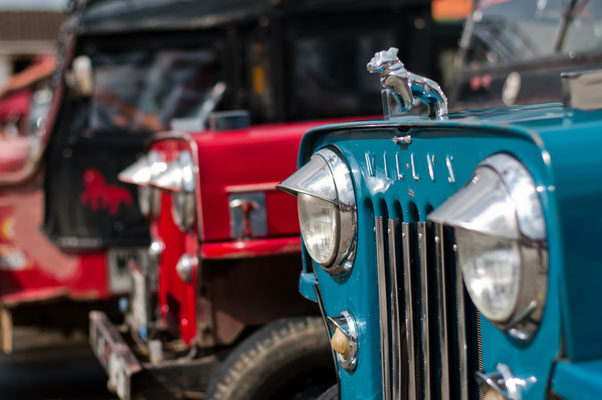 Willys Jeeps in Salento