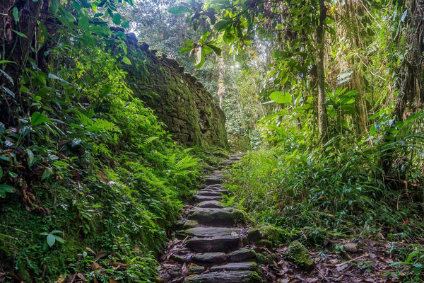 Weg hinauf zur Ciudad Perdida | Kolumbien