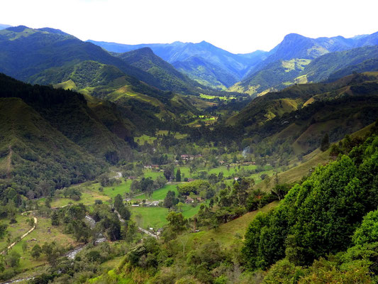 Blick von Salento ins Cocora- Tal - foto by chapoleratours