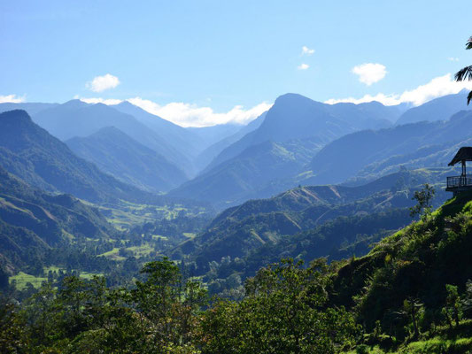 Blick vom Mirador in Salento ins Valle de Cocora