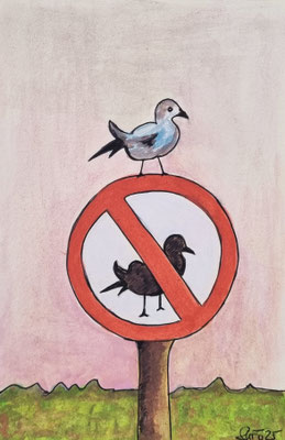 MÖWEN VERBOTEN - 10,8 x 16,3 cm - Gouache/Tusche auf Malkarton - CHF 60