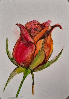 ROSE - Aquarell auf Papier - Postkartengrösse - CHF 30