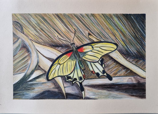 SCHMETTERLING AUF PALMENBLÄTTERN - mixed media auf Papier - 30 x 21 cm - CHF 180