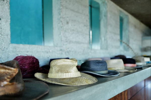 James Goldstein / Goldstein Residence 