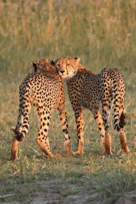 Botswana