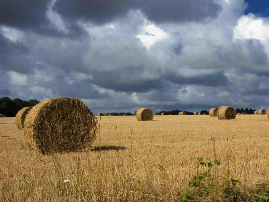 Après la moisson