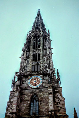 Freiburger Münster