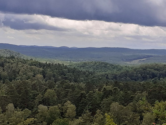 Blick von den Altschlossfelsen über den Pfälzerwald
