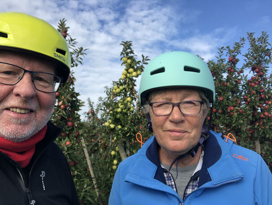 Äpfel wohin man schaut. Auf dem Weg nach Stade