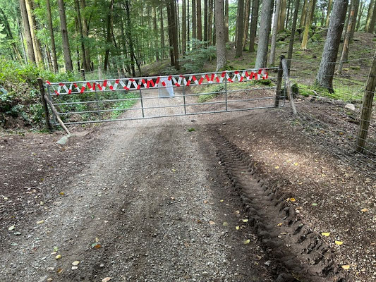 Massives Tor auf dem Waldweg