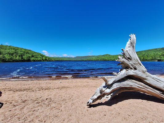Warren Lake