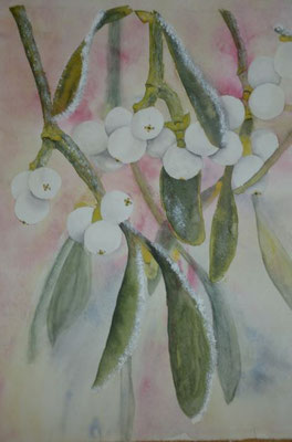 Mistelzweig - 31x49 cm