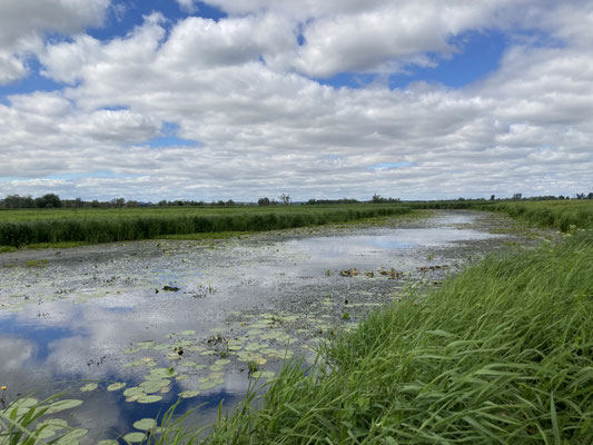 Lower Oder Valley,  © Christiane Funk