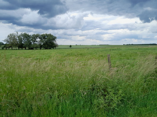Herrliche Landschaft